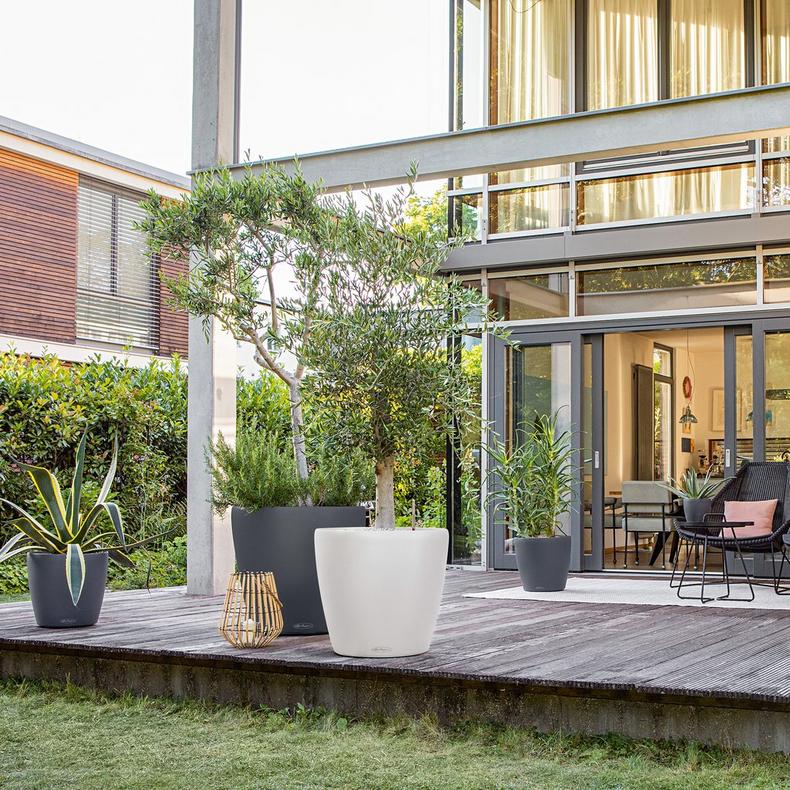 le_classico-color70_product_addi_04